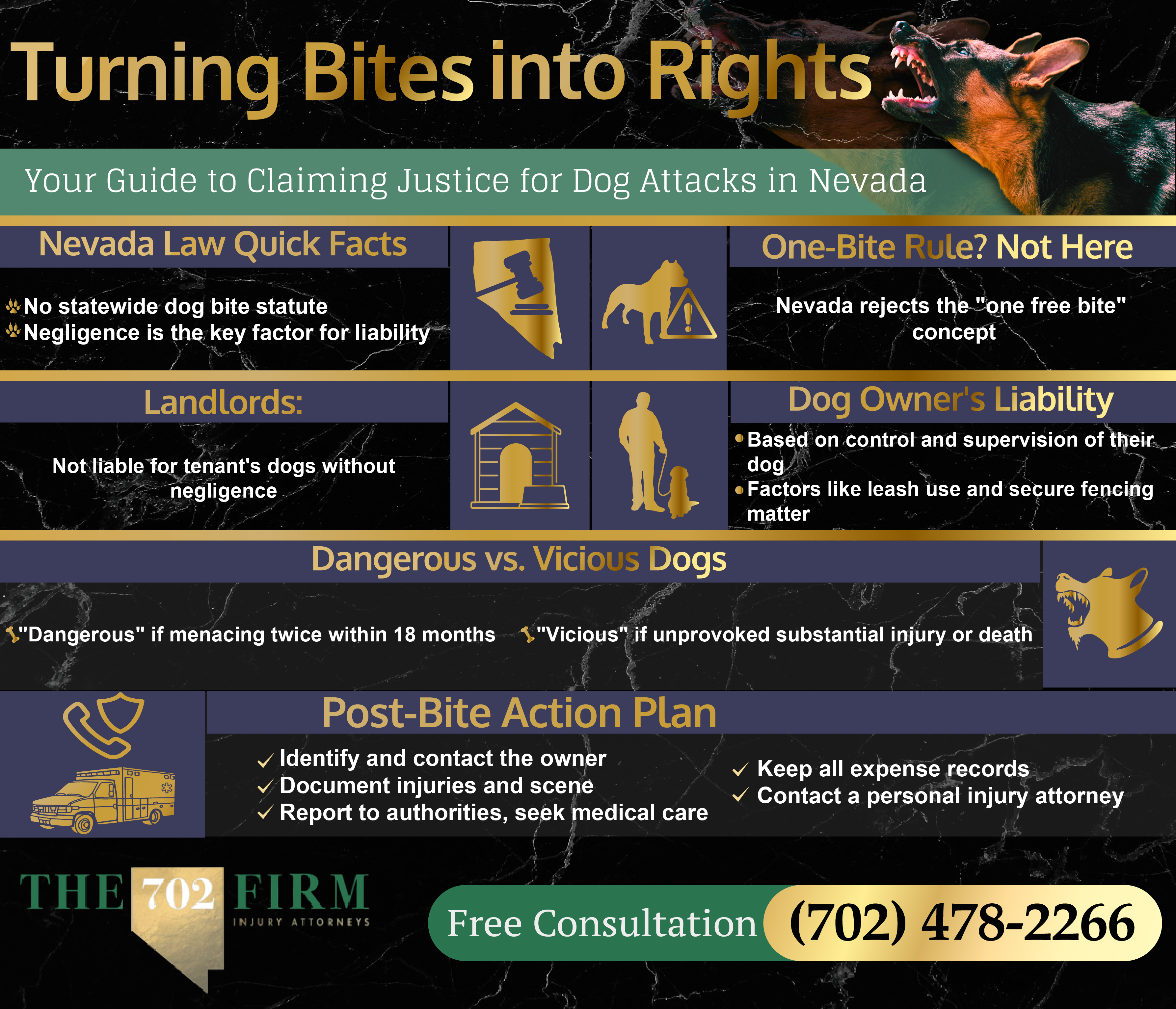 Dog Bite Injury Infographic