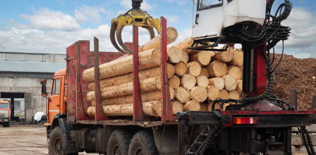 Crane loading freshly cut logs onto an orange truck at a lumber yard