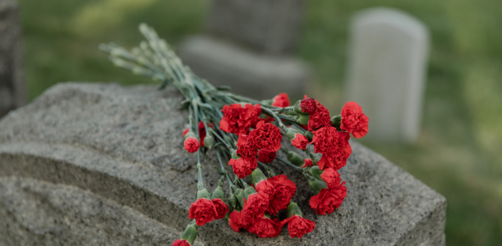 Red carnations resting on a gravestone in a cemetery, representing loss, remembrance, or wrongful death